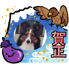 chiyo_20241205175408