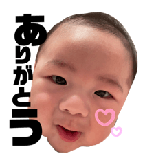 mie_20241205181126