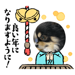 i_20241205181640