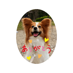 chocolatcocoa_20241205181556