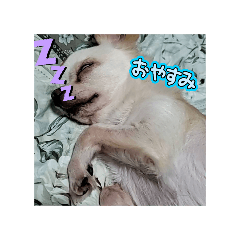 KY_20241205195733