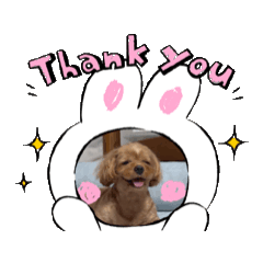 choco_20241205205149