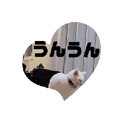 yuga_20241205212747
