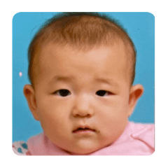 ponzu_20241205191022