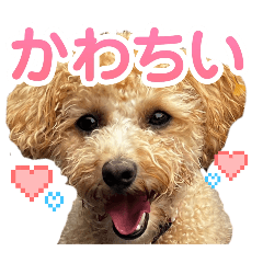 akira_20241205192244