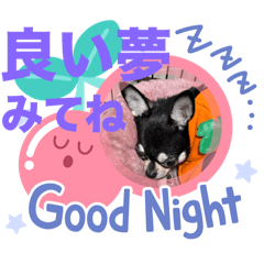 keiko_20241206092506