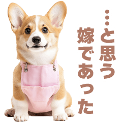 Live action wife corgi dog