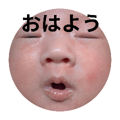 aobo_20241205200903