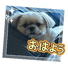 HY_20241205200704