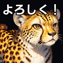 talkative cheetah