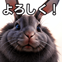 talkative rabbit sticker