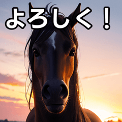 talkative horse