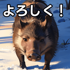 talkative boar