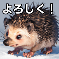 talkative hedgehog