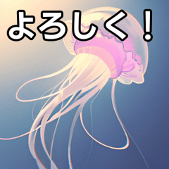 talking jellyfish sticker