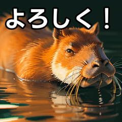 talkative capybara