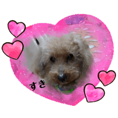 Yukie_20241205204825
