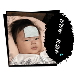 nono_20241205205522