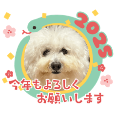 shogo_20241206015123