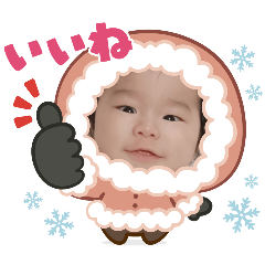 hikari_20241206110313