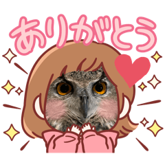 Eurasian Eagle Owl Gil2