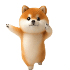 *dance! dancing Mame Shiba