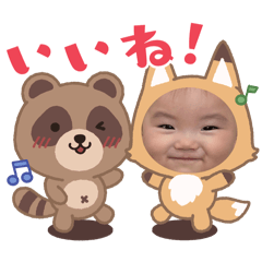 hikari_20241206124139