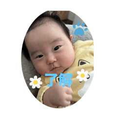 mimi_20241206135138