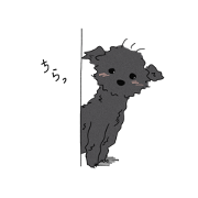 Black dog, Che.