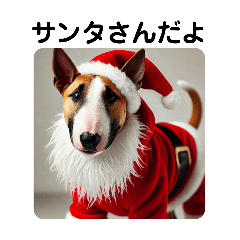 Bull Terrier Christmas