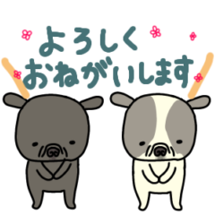 Happy new year2025 Frenchbulldog