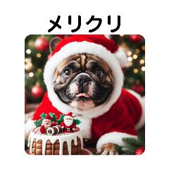 French Bulldog Christmas