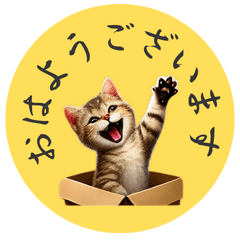 "Realistic Cat LINE Stickers" are here!