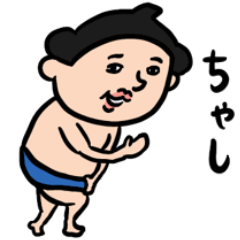 Sumo Wrestler Every Day