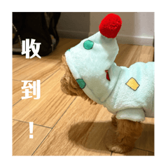 1、2! one two! 廖萬圖!