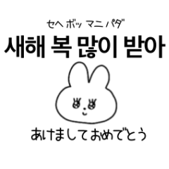 rabbit (korean japanese)winter