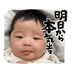 aya_20241206144607