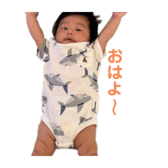 coco_20241206171620
