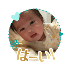 kinako_20241206163551