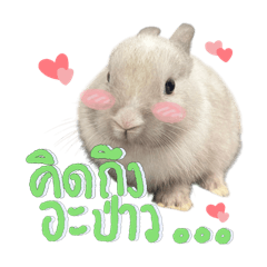 Okine__o_20241206150829