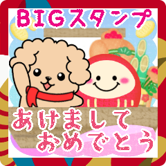 BIG toyPoodle dog New Year pretty16