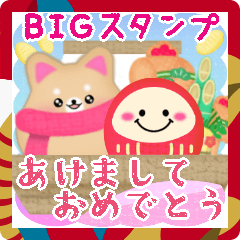 BIG shiba inu dog NewYear pretty16