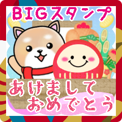 BIG shiba inu dog New Year pretty16