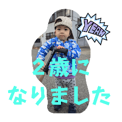omo_20241206192838