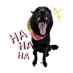 sho-GO!_20241206204620