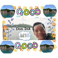 MORIO_20241206225815