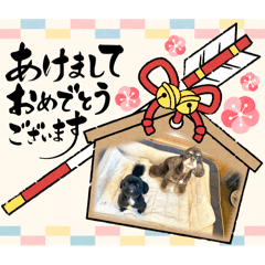 MOCApapa_20241207091830