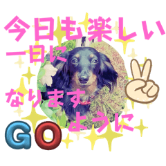 keiko_20241206210647