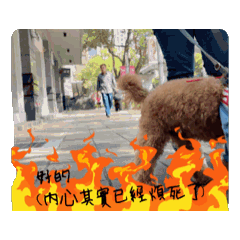 肉鬆上班專用