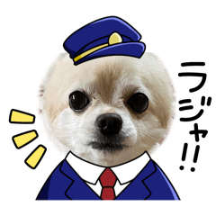 chacha_20241207095642